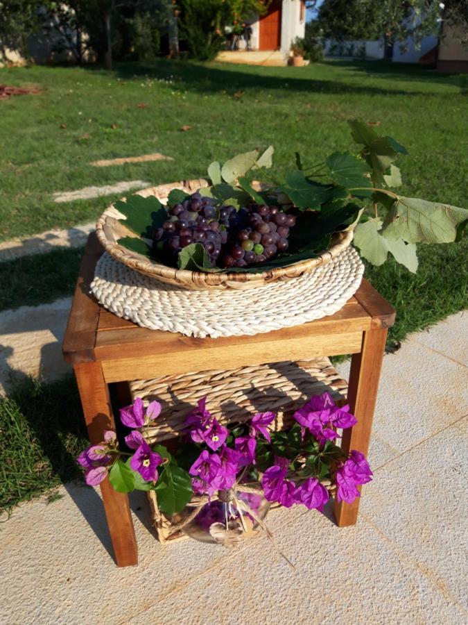 Apartment Karin Медулин Екстериор снимка
